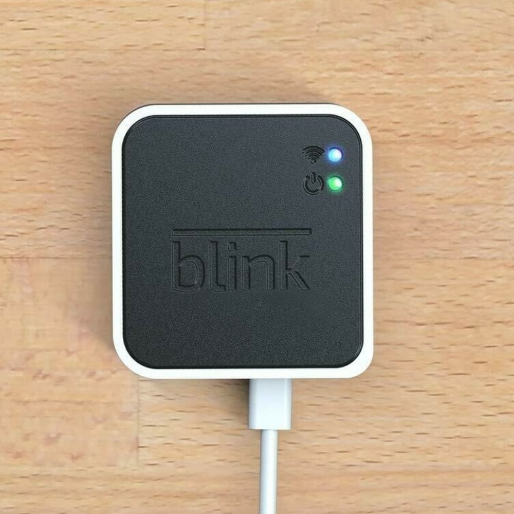 Blink Sync Module 2